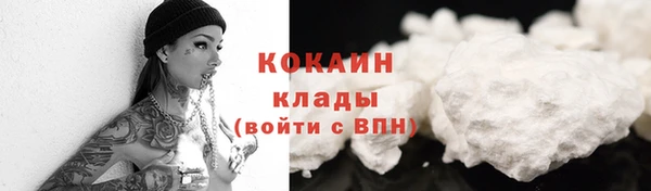 прущая мука Няндома