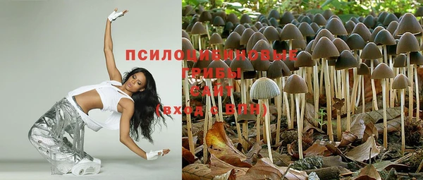 ALPHA-PVP Нязепетровск