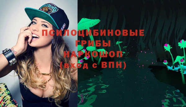 прущая мука Няндома