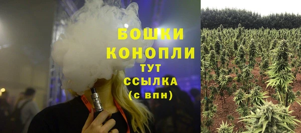 прущая мука Няндома