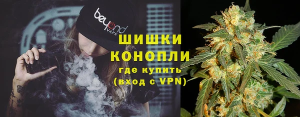 прущая мука Няндома
