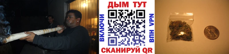 darknet официальный сайт  где купить наркоту  Щёлкино  Бошки Шишки сатива 